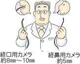 経口用カメラ約8㎜～10㎜、経鼻用カメラ約5㎜