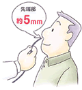 先端部約5㎜